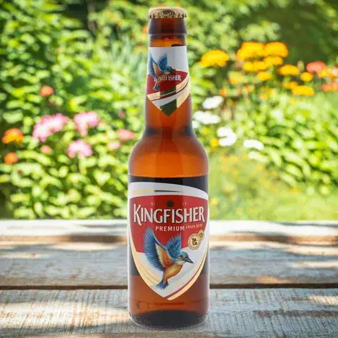 Bière indienne (33 cl)